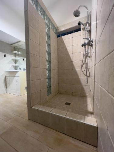 une douche dans une salle de bain avec un sol carrelé dans l'établissement Appart cosy, à Sartène
