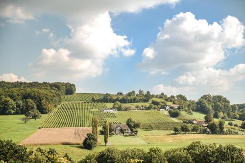 een afbeelding van een wijngaard in de heuvels met bomen bij Kellerstöckl am Neusetzberg in Straden