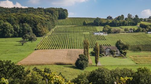 een luchtzicht op een wijngaard met een huis op een heuvel bij Kellerstöckl am Neusetzberg in Straden