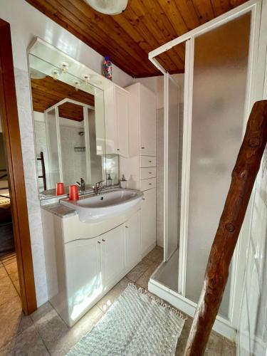 Sesta Godano的住宿－卡薩度假瑪日薩旅館，一间带水槽和淋浴的浴室