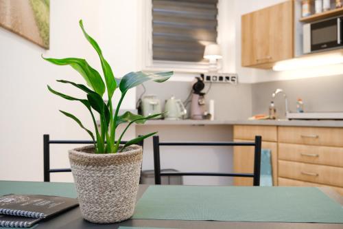 Η κουζίνα ή μικρή κουζίνα στο SchlossCasa Lauf an der Pegnitz Zimmer Venedig