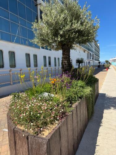 Ein Garten an der Unterkunft Marina Club Luxury private studio with Pool and incredible views