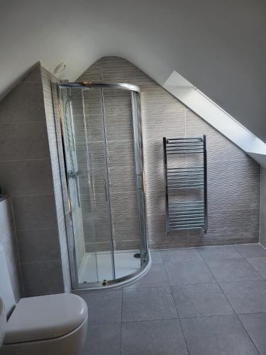 a bathroom with a shower and a toilet at Ocean View in Ballycastle