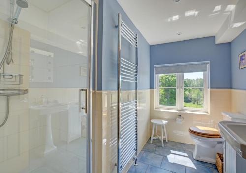 a bathroom with a shower and a toilet and a sink at Dentford Heights in Beetley