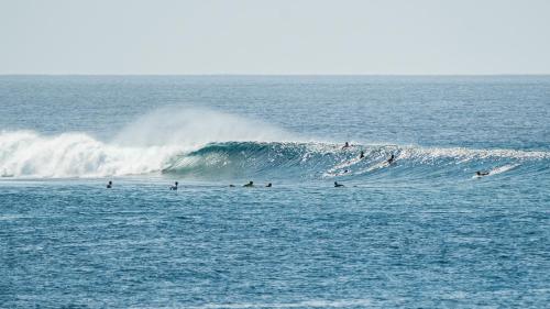 a group of people surfing a wave in the ocean at Twin Palms Surfhouse in Thulusdhoo