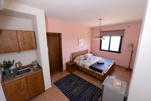 a bedroom with a bed and a sink at Abdelli Terraces in Batroun in Batroûn