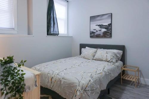 a bedroom with a bed and two windows at NEW Renovated Cozy 2 Br in Uptown Saint John Location Coffee in Saint John