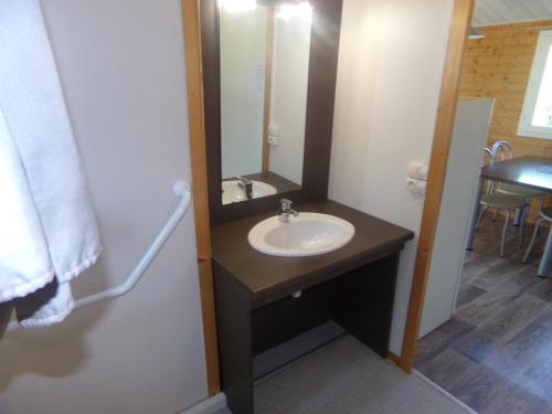een badkamer met een wastafel en een spiegel bij Terres de France - Les Hameaux de Miel in Beynat