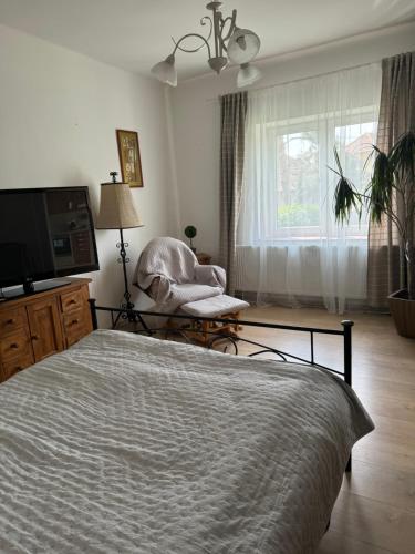 a bedroom with a bed and a chair and a television at Pelini - 2 in Szentendre