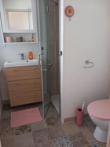 une salle de bain avec une douche, des toilettes et un lavabo dans l'établissement Maison 3 étoiles proche des plages, à Pont-lʼAbbé