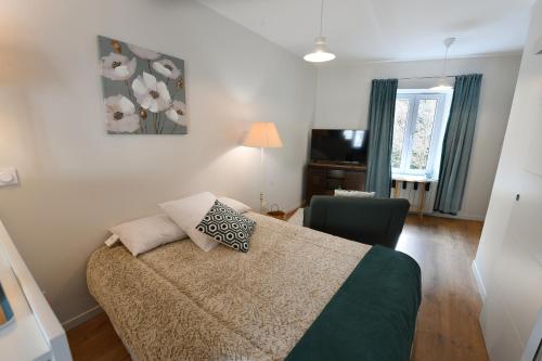 a bedroom with a bed and a chair and a television at Hérisson in Arbent