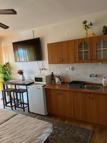 a kitchen with wooden cabinets and a sink and a microwave at Studio Florida in Štúrovo