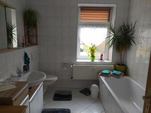 a bathroom with a sink toilet and a tub and a window at Ferienwohnung am Tierpark Weißwasser in Weißwasser