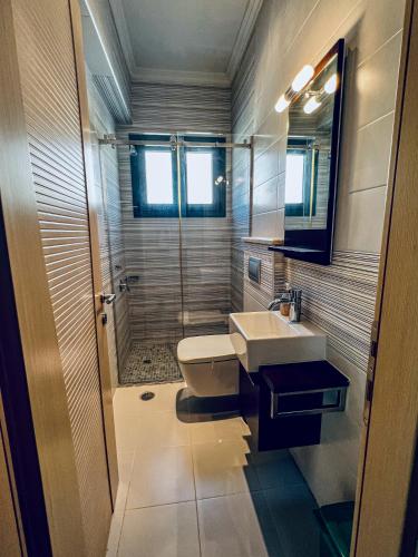 a bathroom with a toilet and a sink and a shower at Moutzouri Villes in Thános