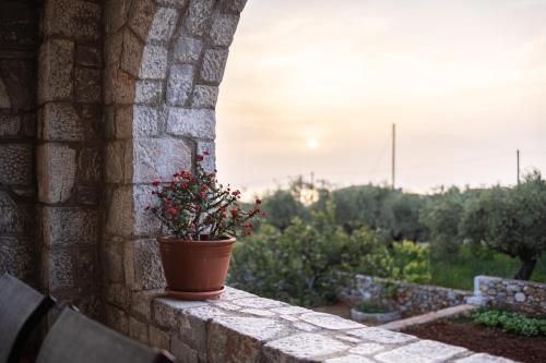 a potted plant sitting on a stone wall at Mani Stone Villa Majlinda - Tranquil Getaway Gem in Riglia