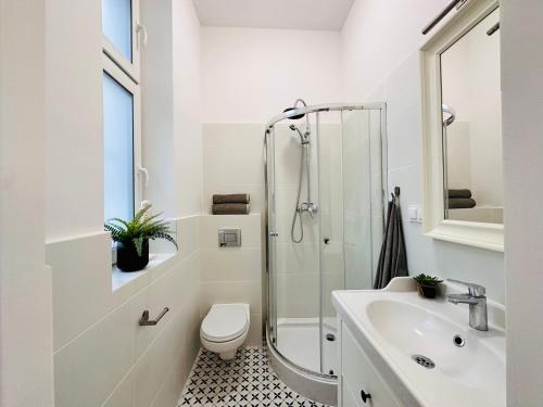 a bathroom with a shower and a toilet and a sink at Studio przy Placu Jasia Rybaka in Sopot