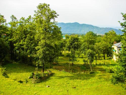 a green field with trees and a house in the background at Travelodge Homestay in Bīr