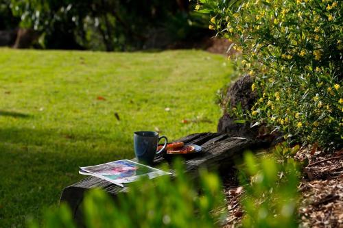 Zahrada ubytování Bells Beach Escape - Secret Hideaway in Jan