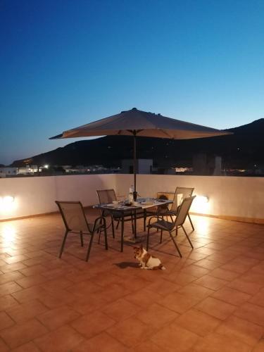 a table with an umbrella and a cat sitting under it at Subito in Centro in Favignana