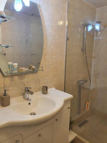 a bathroom with a sink and a shower with a mirror at Dodo House in Săcele