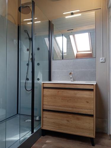 a bathroom with a sink and a shower at Appartement centre ville Vimoutiers in Vimoutiers