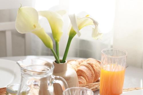 Appartements Clementina