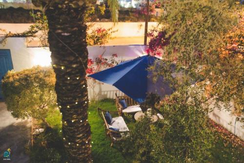 a blue umbrella sitting next to a palm tree at DAR AMEL in Houmt Souk