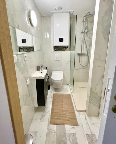 une salle de bain avec une douche, des toilettes et un lavabo dans l'établissement T2 à 50m de la mer, à Bormes-les-Mimosas