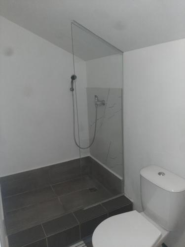 a white bathroom with a shower and a toilet at Ubytování Šámalka in Brno