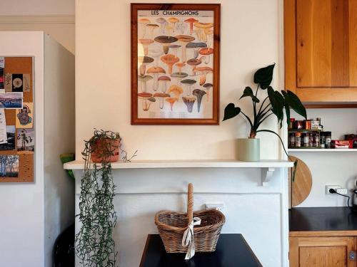 a picture of mushrooms on the wall in a kitchen at Enchanting Vintage House at South Hobart in Hobart