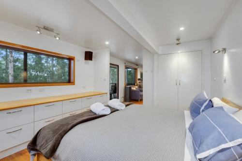 a white bedroom with a large bed with blue pillows at Hastings Bay Retreat in Hastings