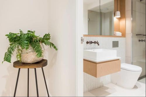 een badkamer met een wastafel en een plant op een kruk bij Cozy 2 Beds Apartment In Fitzroy For Rest And Work in Melbourne