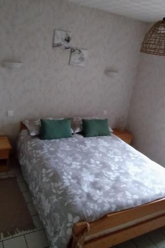 1 dormitorio con 1 cama con 2 almohadas verdes en Chambre lit double, Salon, Terrasse et jardin, en Couze-et-Saint-Front