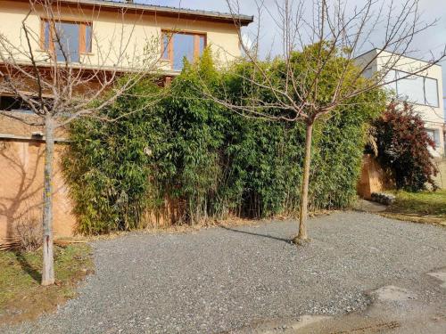 Κήπος έξω από το Le Cosy du Plongeoir - T2 neuf avec vue sur le lac de Serre Ponçon et grande terrasse avec jardin