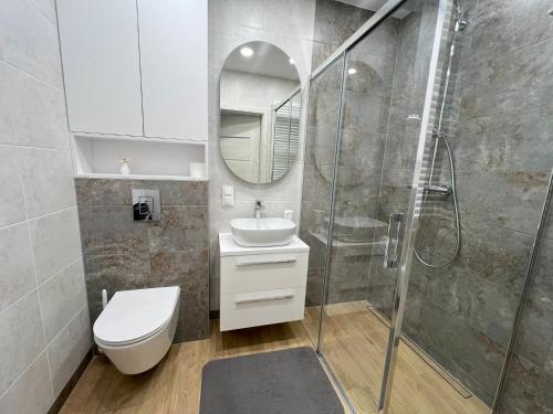 ein Bad mit einem WC, einem Waschbecken und einer Dusche in der Unterkunft Glazurowa apartament Trójmiasto in Danzig