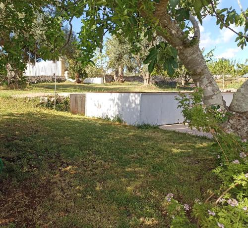 a white wall in a yard with a tree at La casa degli artisti in Ostuni