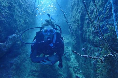 a person in aivedivedivedivedivedivedivedivedivedivedivedived at De Silva Palm Resort in Kalpitiya