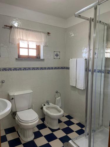 uma casa de banho com um WC, um lavatório e um chuveiro em Casa da Eira em Lousã