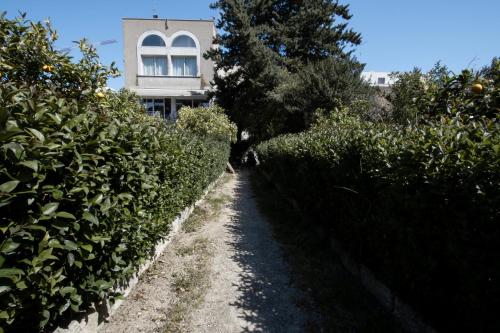 a path in front of a house with bushes at Le Tre Sorelle in Bari