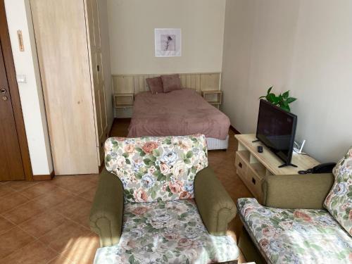 ein Wohnzimmer mit einem Bett, einem Sofa und einem TV in der Unterkunft Pirin Golf private studio in Raslog