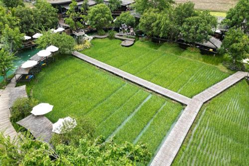 an aerial view of a garden with grass and trees at Tongna Cottage Natural Resort in Chiang Mai