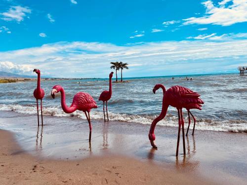 Un paisaje natural cerca de la casa de huéspedes