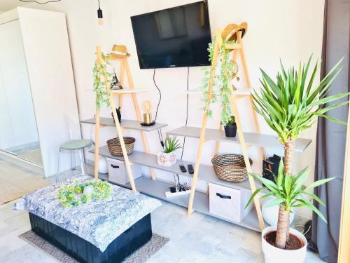 a living room with potted plants and shelves at Bella Vista / Appartement vue mer in Nice