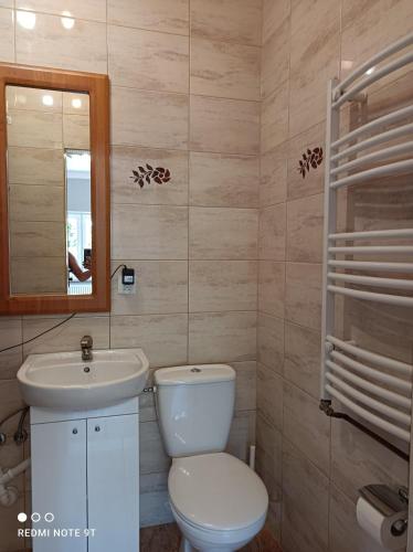 a bathroom with a toilet and a sink and a mirror at Przystań w Jezierzanach in Jezierzany