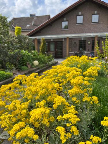 Taman di luar Ferienwohnung Jansen Selfkant
