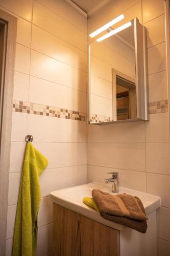 a bathroom with a sink and a mirror at Friesenhof Jöns in Garding