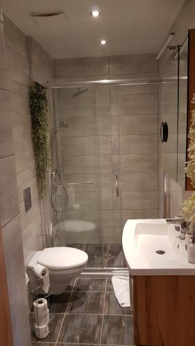 uma casa de banho com um chuveiro, um WC e um lavatório. em Zafír Sziget Apartman em Sárvár
