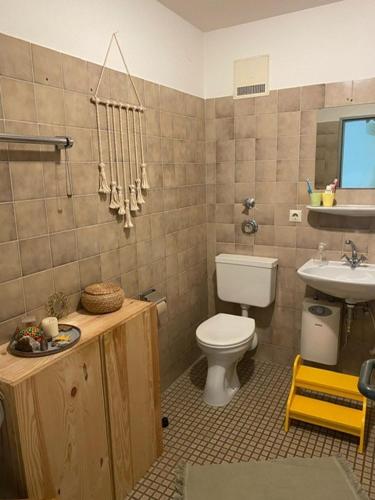 een badkamer met een toilet en een wastafel bij Ferienwohnung Wallbach 1 in Wallbach