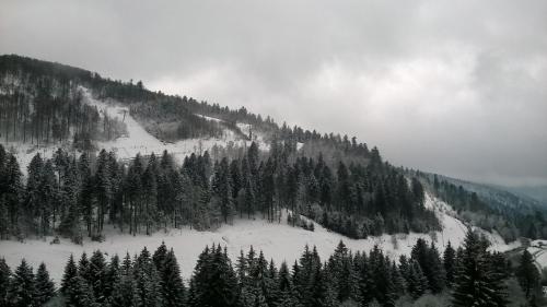 a mountain covered in snow with trees on it at Le chitelet rouge, Hohneck in La Bresse