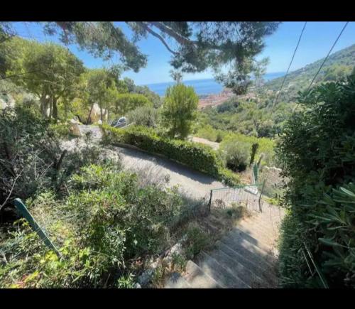 a view of a garden with a pathway and a hill at 10 min de Monaco petite maison avec jardin vue mer et rocher de Monaco in La Turbie